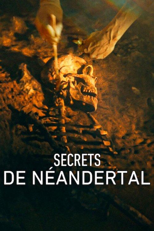 Neandertallerin Sırları
